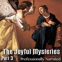 The Joyful Mysteries - Part 3 - Finding Jesus in the Temple