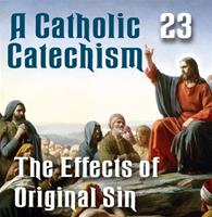 A Catholic Catechism Part 23: Effects of Original Sin