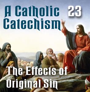 A Catholic Catechism # 23: Effects of Original Sin