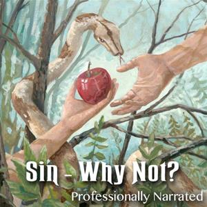 Sin - Why Not?