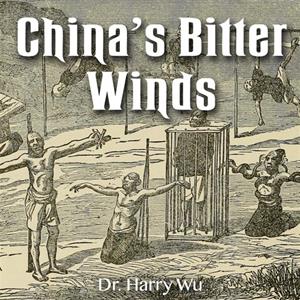 China's Bitter Winds