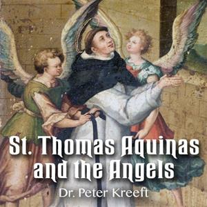 St. Thomas Aquinas and the Angels